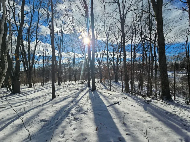 $115,000 | 1 120th Avenue, Rodney, MI 49342