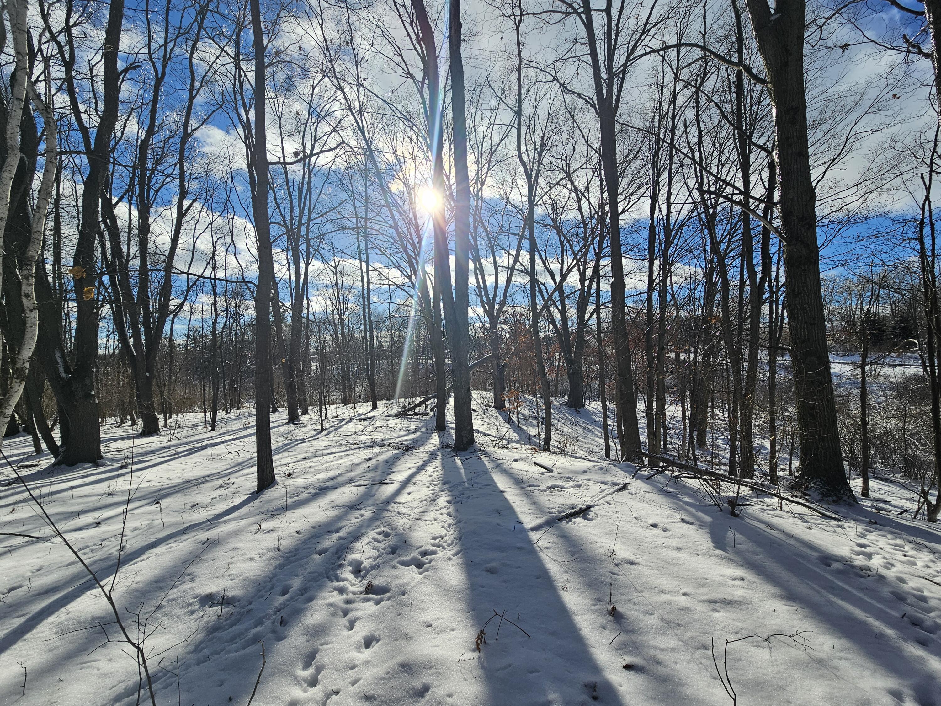 1 120th Avenue Rodney, MI 49342 - Photo 1 of 16 20260102_134450