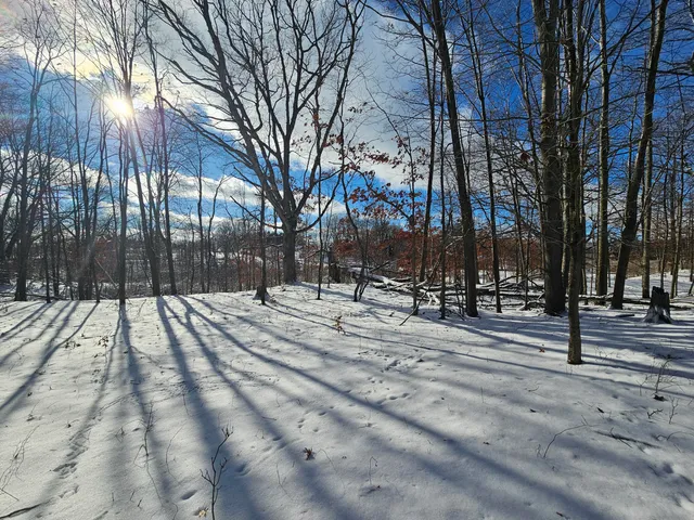 $115,000 | 1 120th Avenue, Rodney, MI 49342