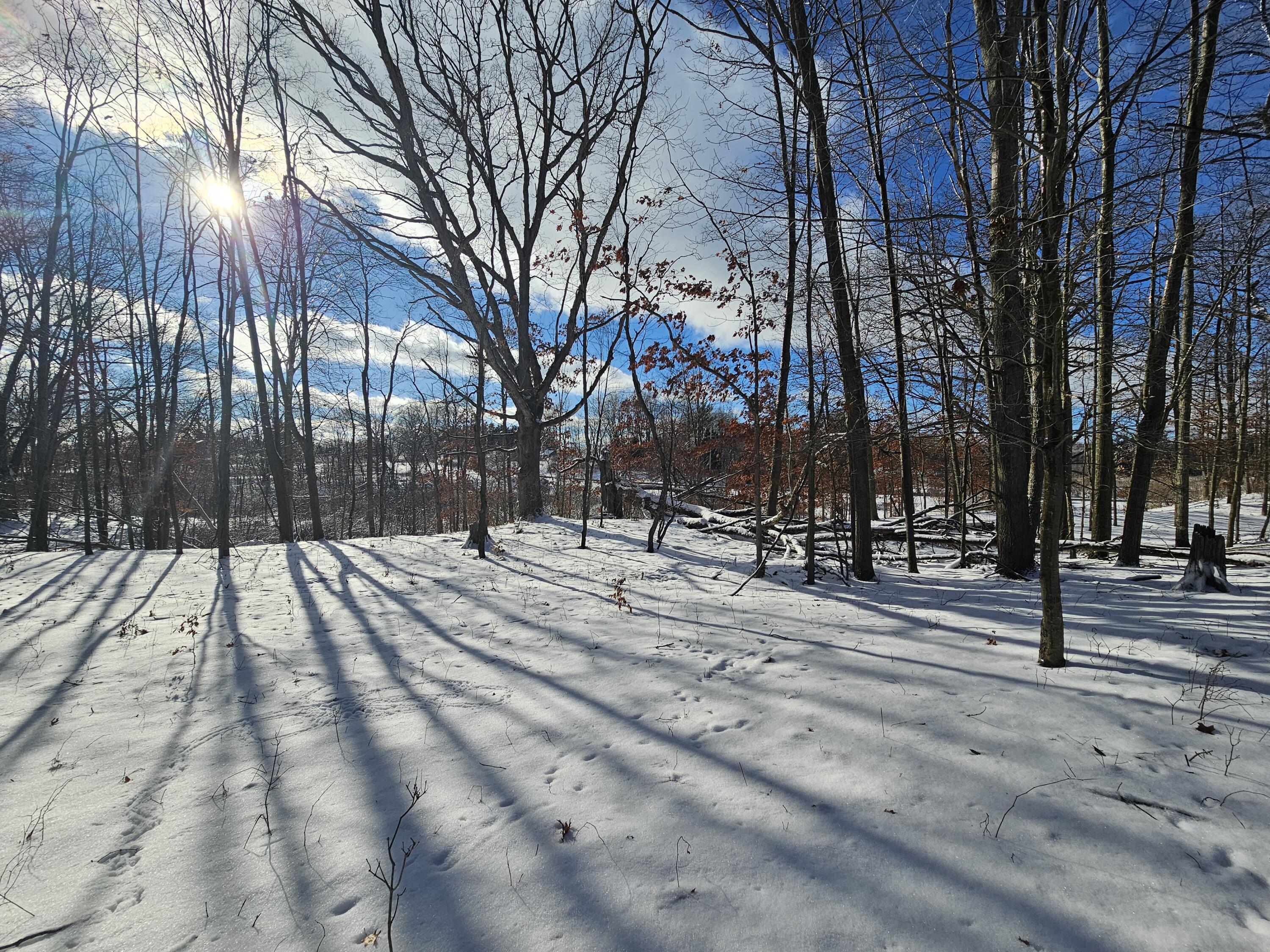 1 120th Avenue Rodney, MI 49342 - Photo 11 of 16 20260102_134421