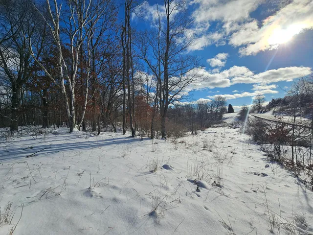 $115,000 | 1 120th Avenue, Rodney, MI 49342