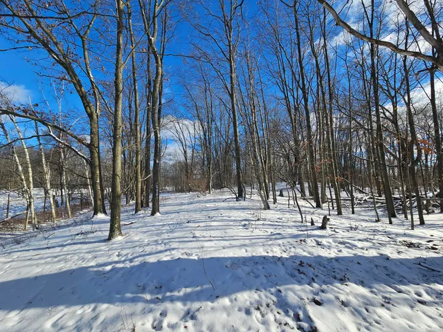 $115,000 | 1 120th Avenue, Rodney, MI 49342