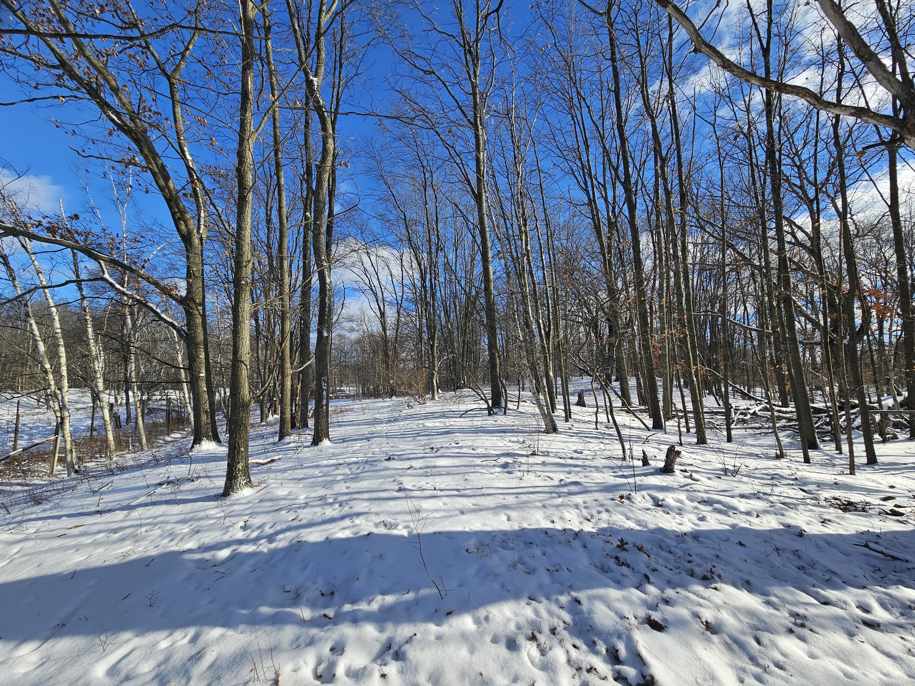 1 120th Avenue Rodney, MI 49342 - Photo 2 of 16 20260102_134342