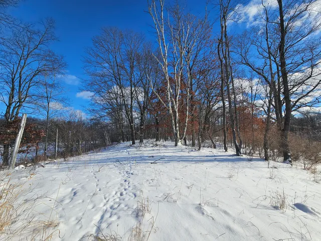 $115,000 | 1 120th Avenue, Rodney, MI 49342