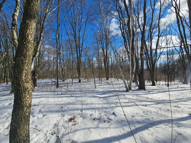 $115,000 | 1 120th Avenue, Rodney, MI 49342