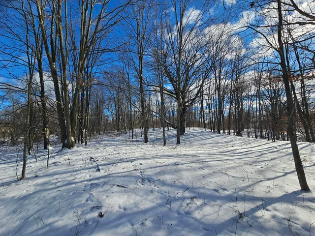 $115,000 | 1 120th Avenue, Rodney, MI 49342