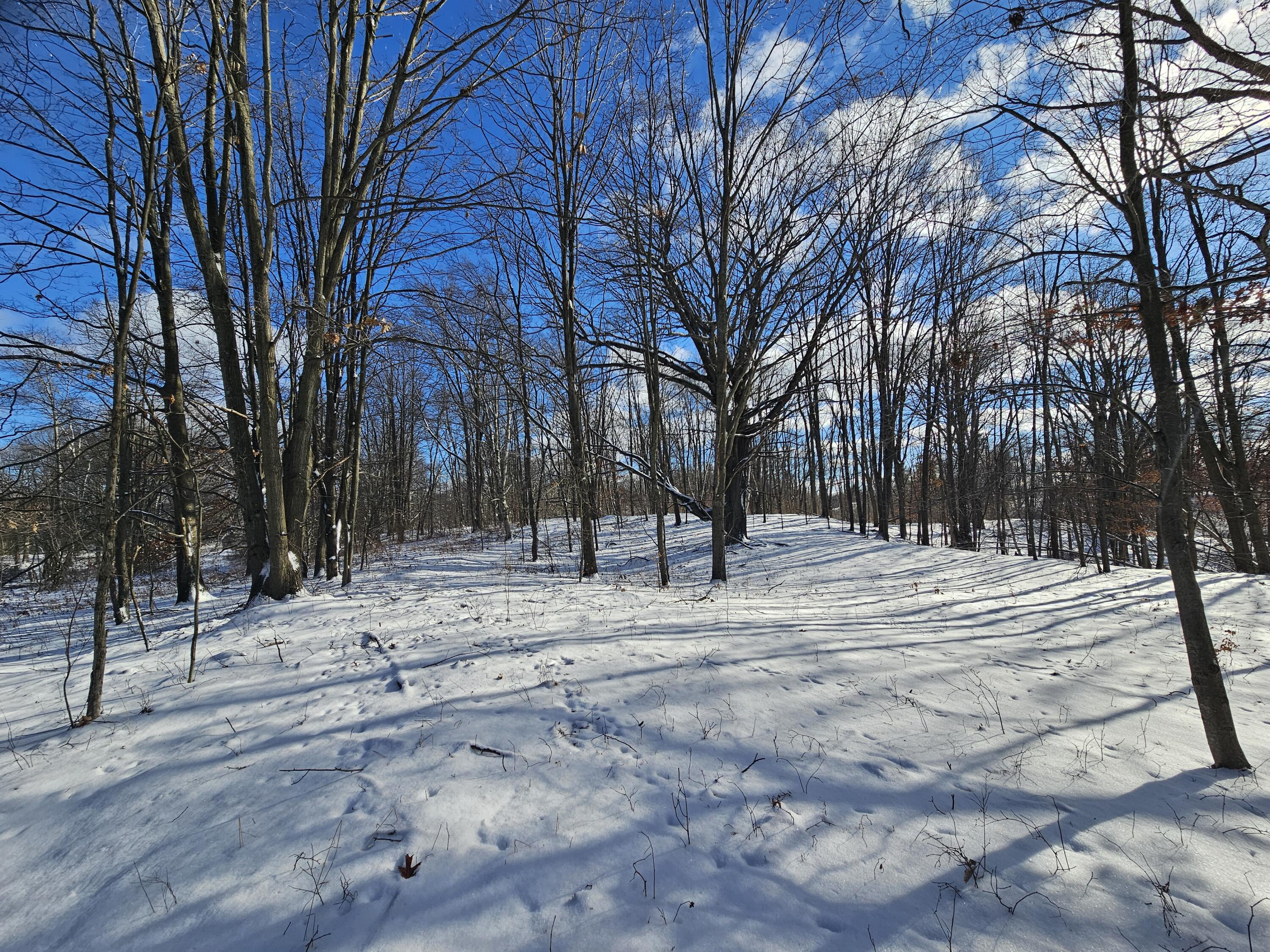 1 120th Avenue Rodney, MI 49342 - Photo 5 of 16 20260102_134411