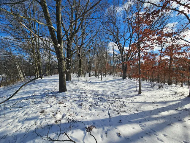 $115,000 | 1 120th Avenue, Rodney, MI 49342