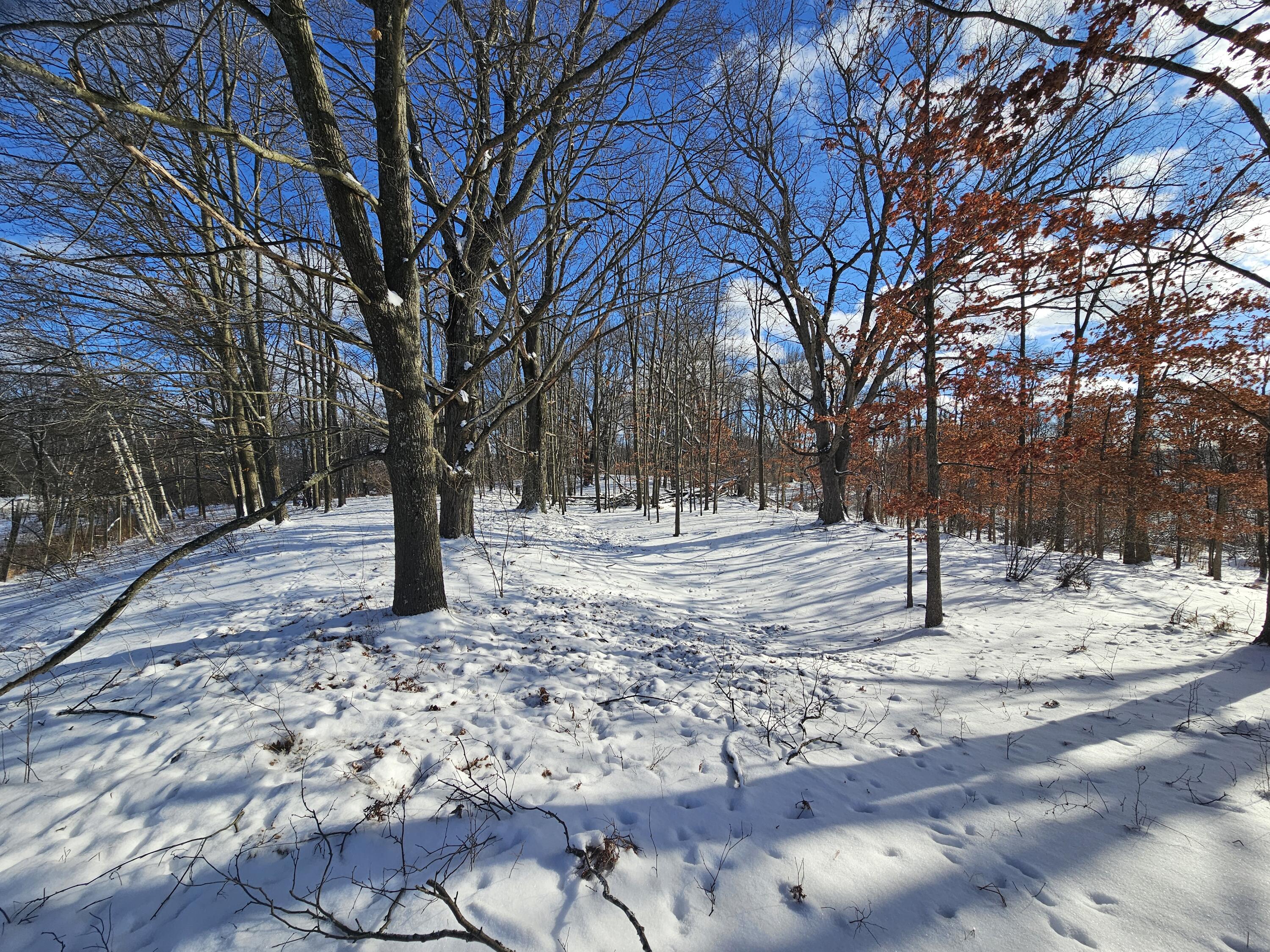1 120th Avenue Rodney, MI 49342 - Photo 6 of 16 20260102_134323
