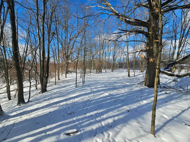 $115,000 | 1 120th Avenue, Rodney, MI 49342