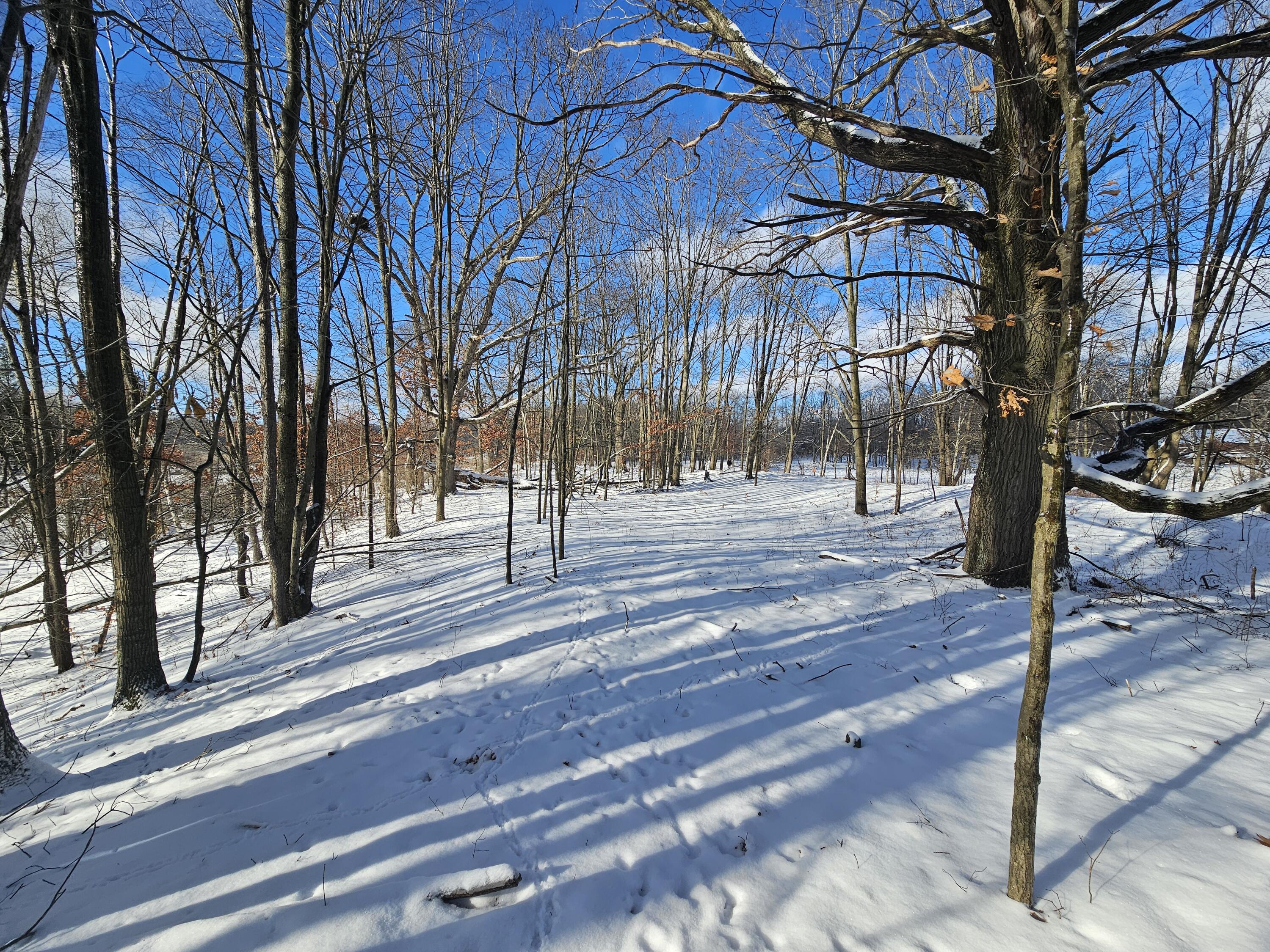 1 120th Avenue Rodney, MI 49342 - Photo 7 of 16 20260102_134518