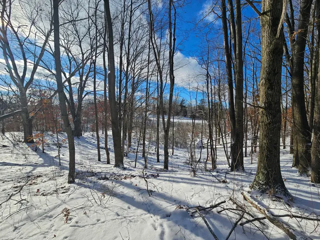 $115,000 | 1 120th Avenue, Rodney, MI 49342