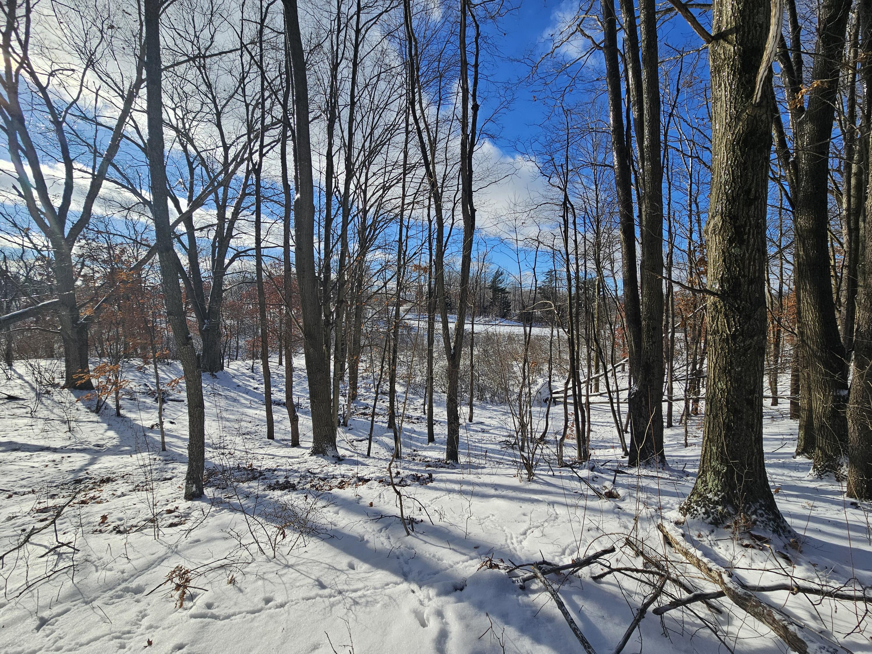 1 120th Avenue Rodney, MI 49342 - Photo 8 of 16 20260102_134510