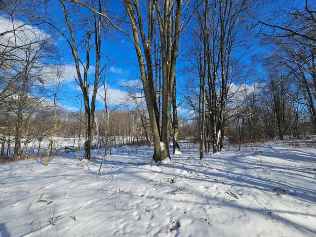 $115,000 | 1 120th Avenue, Rodney, MI 49342