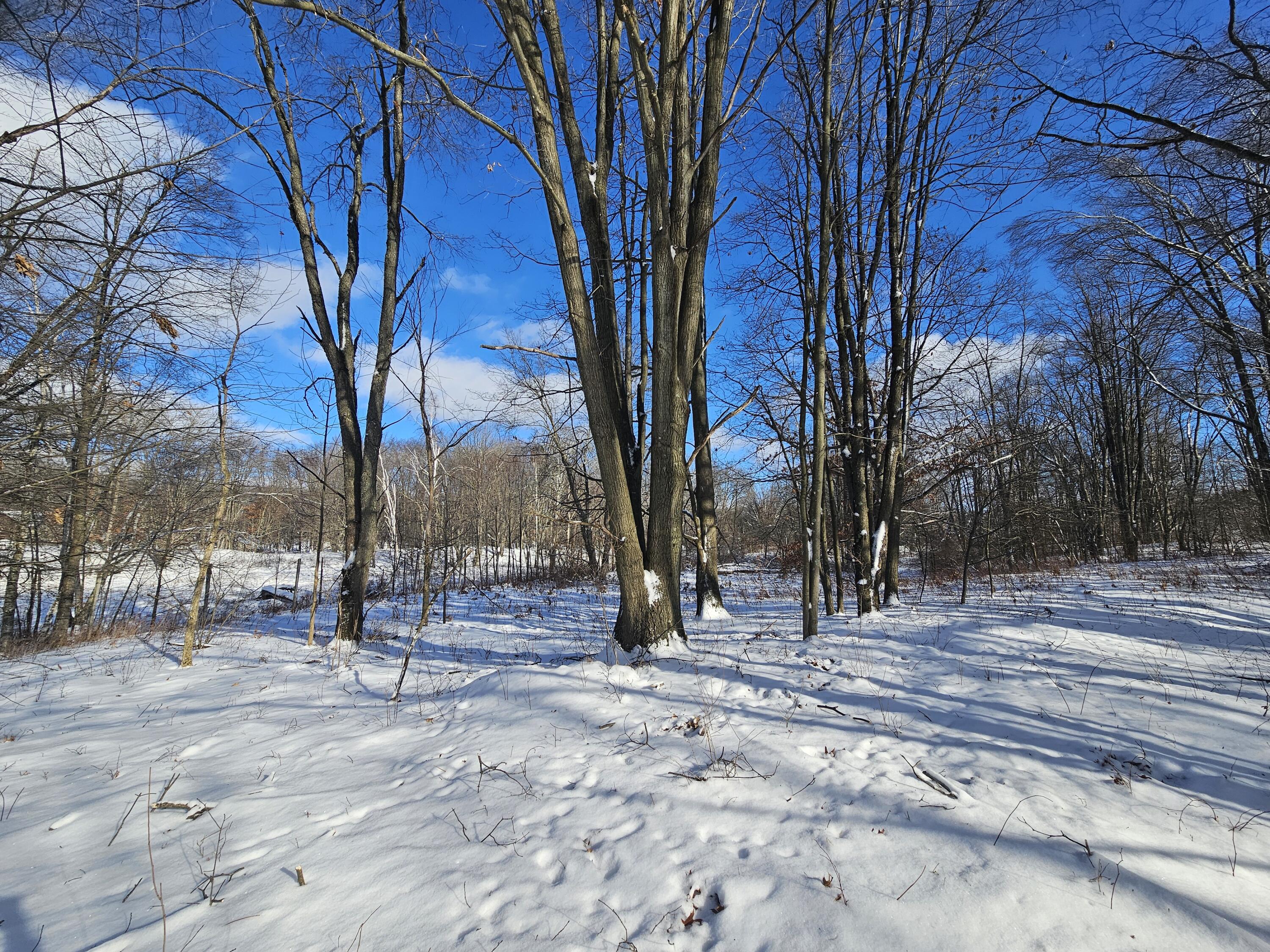 1 120th Avenue Rodney, MI 49342 - Photo 9 of 16 20260102_134425