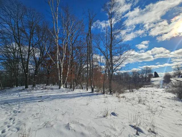 $115,000 | 1 120th Avenue, Rodney, MI 49342