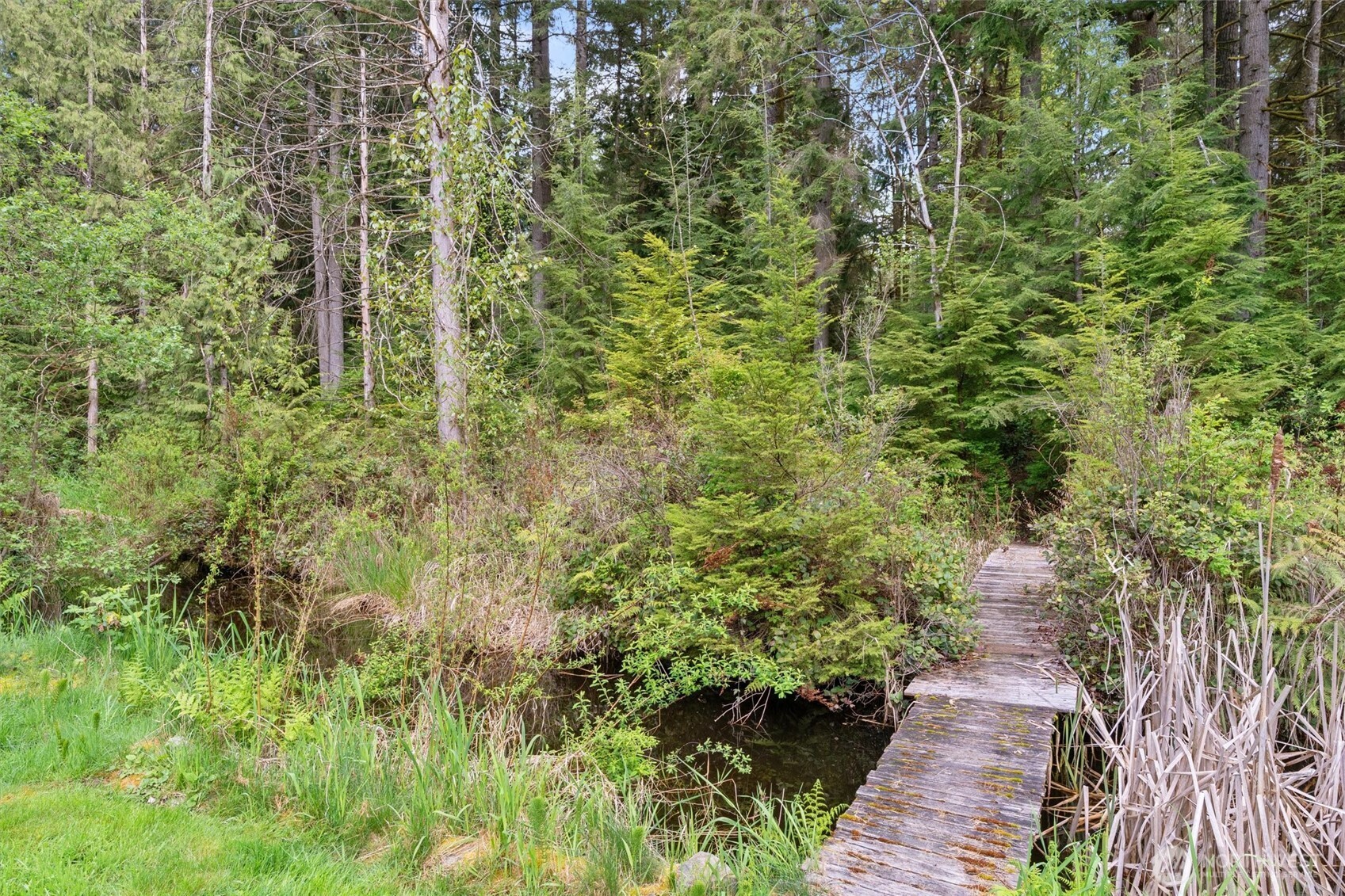 17629 Newberg Road Snohomish, WA 98290 - Photo 38 of 40 a view of a pathway both side of yard