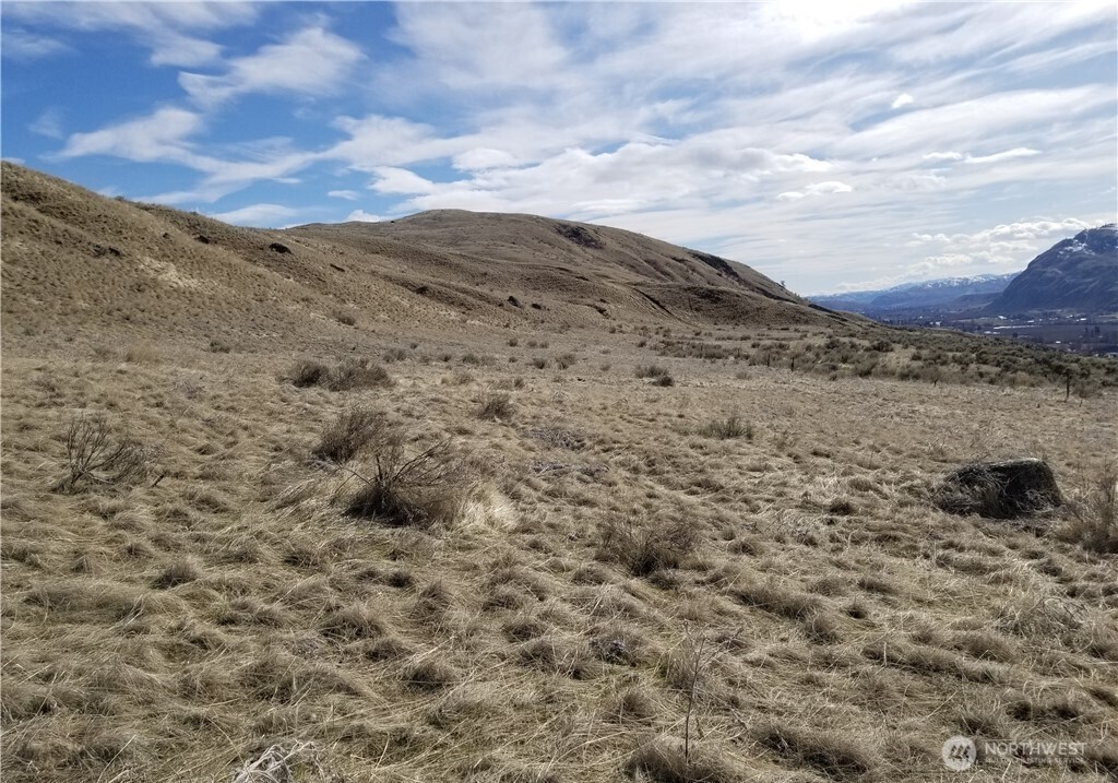 0 Nicholson Road Tonasket, WA 98855 - Photo 3 of 4 a view of a dry yard with mountains in the background