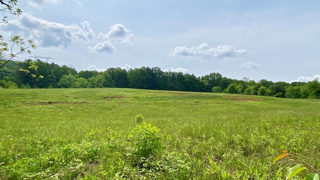 Tbd Castleton Road, Unit 62110 Max Meadows, VA 24360 - Photo 36 of 37 Gallery Image 36