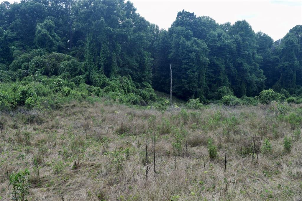 792 Lower Dowda Mill Road Jasper, GA 30143 - Photo 1 of 35