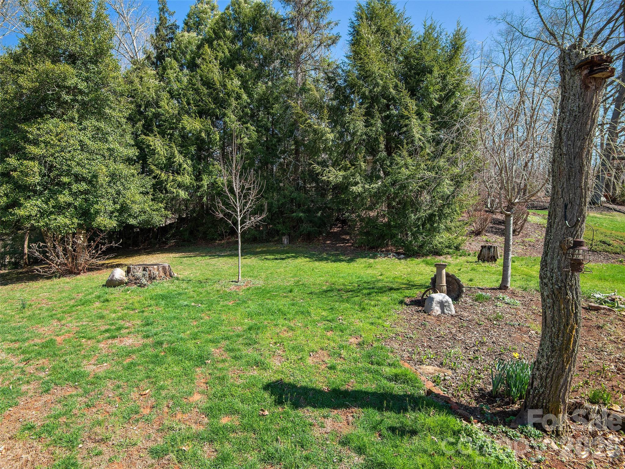 608 Evans Road Canton, NC 28716 - Photo 30 of 44