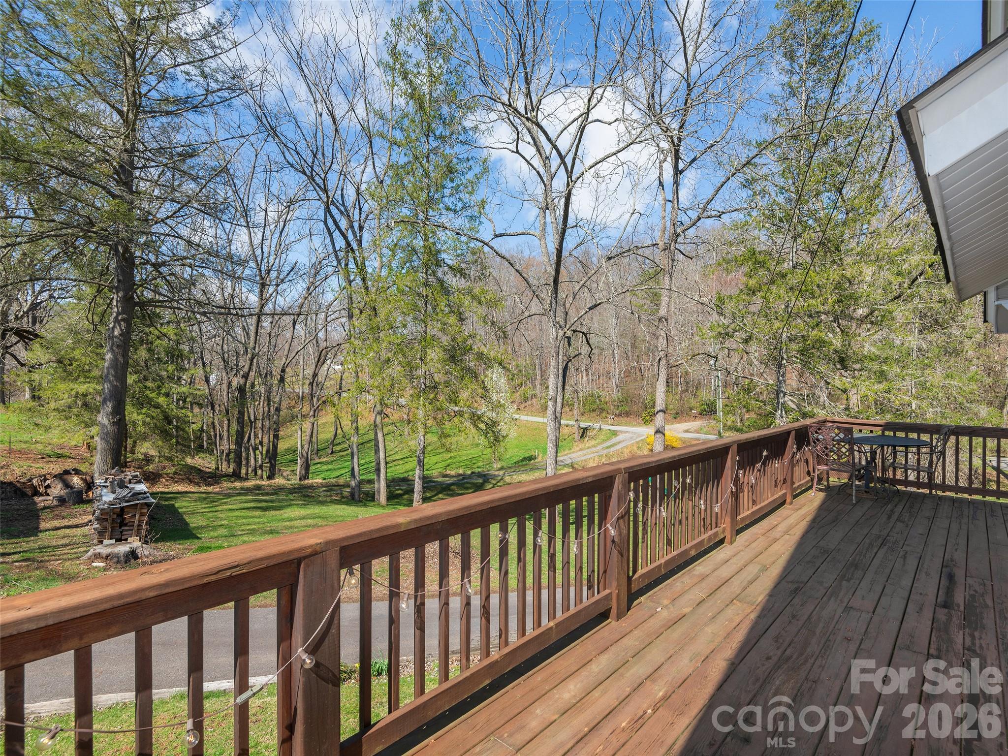 608 Evans Road Canton, NC 28716 - Photo 3 of 44