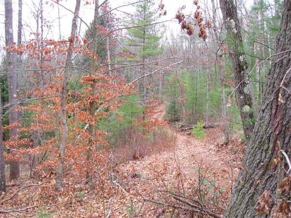 Lot 0 Athol Road Orange, MA 01364 - Photo 12 of 26