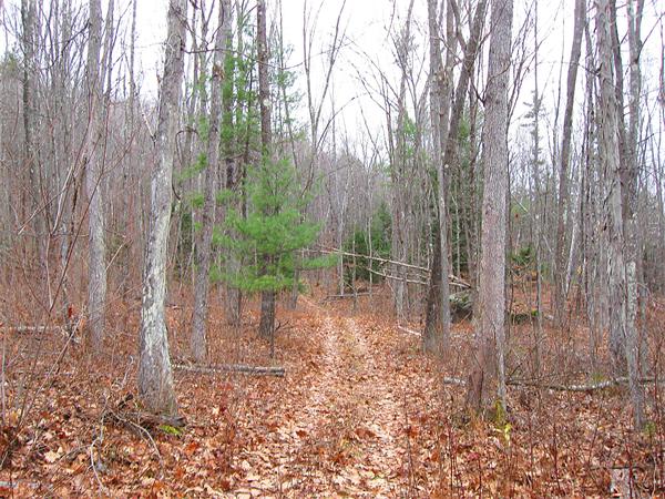 Lot 0 Athol Road Orange, MA 01364 - Photo 13 of 26