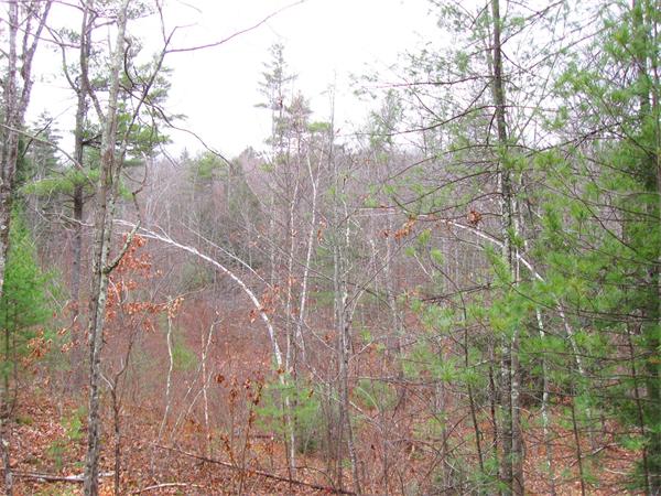 Lot 0 Athol Road Orange, MA 01364 - Photo 14 of 26