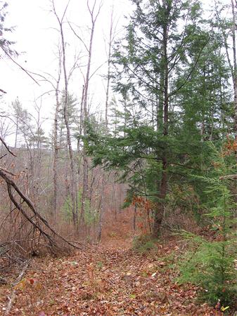 Lot 0 Athol Road Orange, MA 01364 - Photo 15 of 26