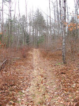 Lot 0 Athol Road Orange, MA 01364 - Photo 16 of 26