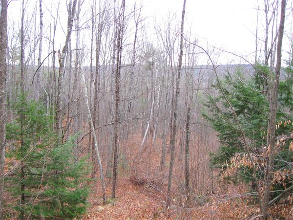 Lot 0 Athol Road Orange, MA 01364 - Photo 17 of 26