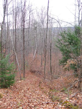 Lot 0 Athol Road Orange, MA 01364 - Photo 18 of 26