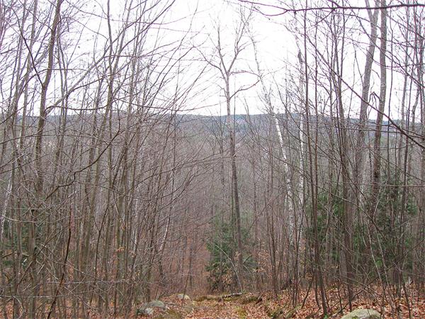 Lot 0 Athol Road Orange, MA 01364 - Photo 19 of 26