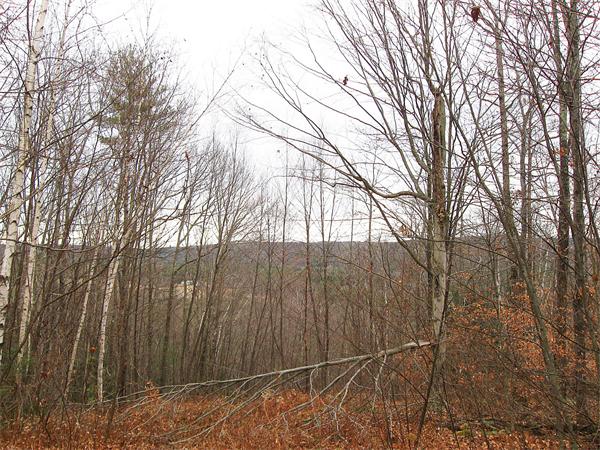 Lot 0 Athol Road Orange, MA 01364 - Photo 20 of 26