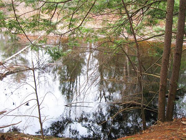 Lot 0 Athol Road Orange, MA 01364 - Photo 22 of 26