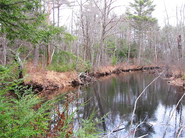 Lot 0 Athol Road Orange, MA 01364 - Photo 23 of 26