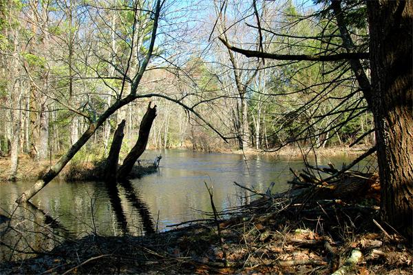 Lot 0 Athol Road Orange, MA 01364 - Photo 24 of 26