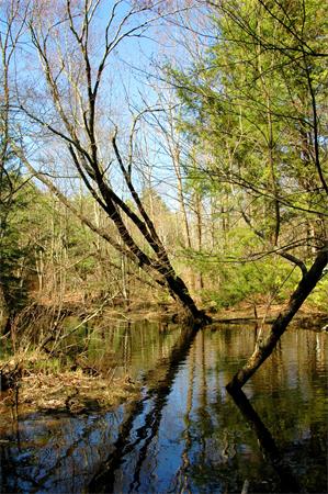 Lot 0 Athol Road Orange, MA 01364 - Photo 3 of 26
