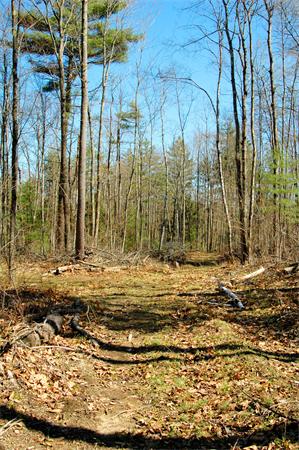 Lot 0 Athol Road Orange, MA 01364 - Photo 4 of 26