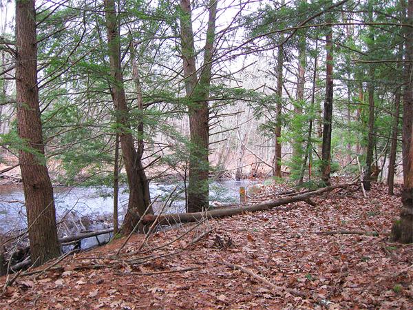 Lot 0 Athol Road Orange, MA 01364 - Photo 6 of 26