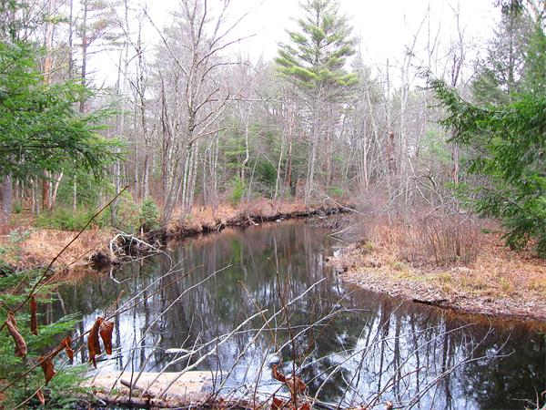 Lot 0 Athol Road Orange, MA 01364 - Photo 8 of 26