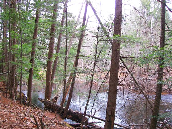 Lot 0 Athol Road Orange, MA 01364 - Photo 9 of 26