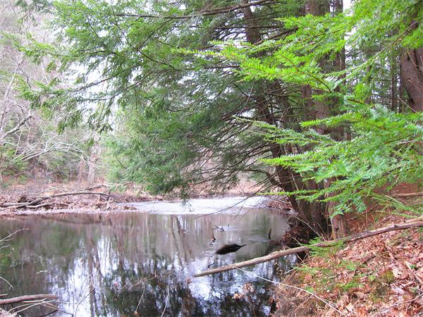 Lot 0 Athol Road Orange, MA 01364 - Photo 10 of 26