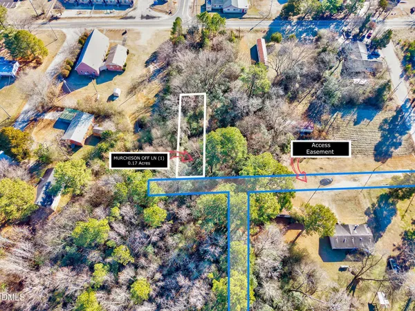 a view of swimming pool with a yard and potted plants