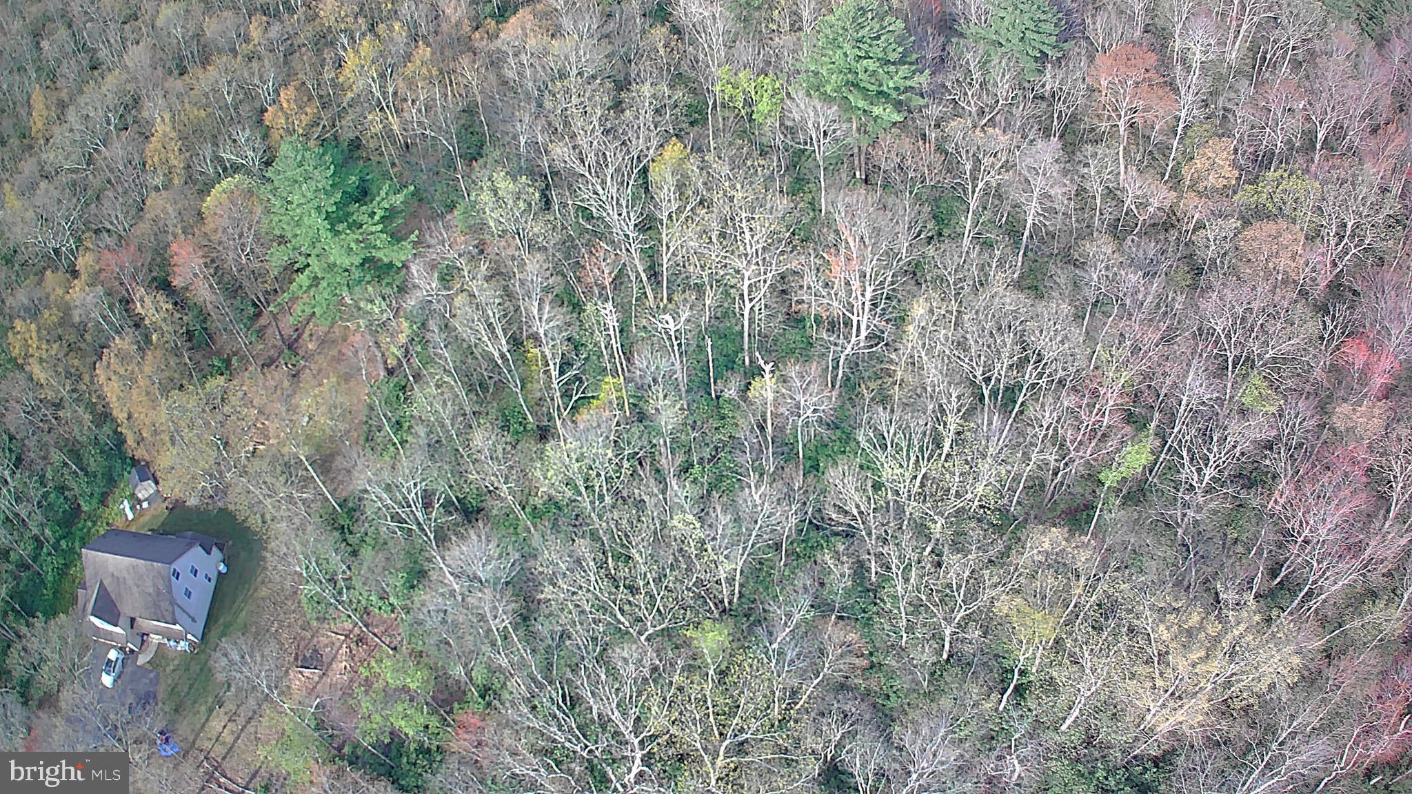 0 Drakes Creek Road Jim Thorpe, PA 18229 - Photo 3 of 9