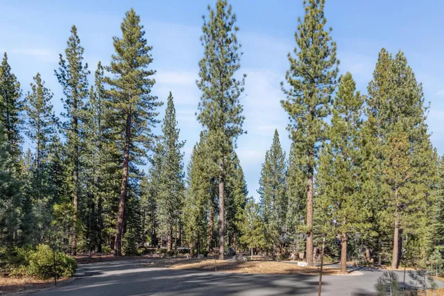 a view of outdoor space with lots of trees