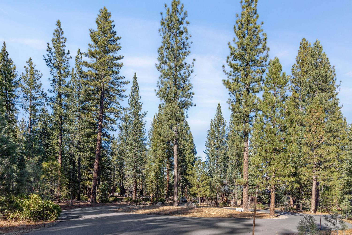 110 Bob Watson Truckee, CA 96161 - Photo 18 of 23