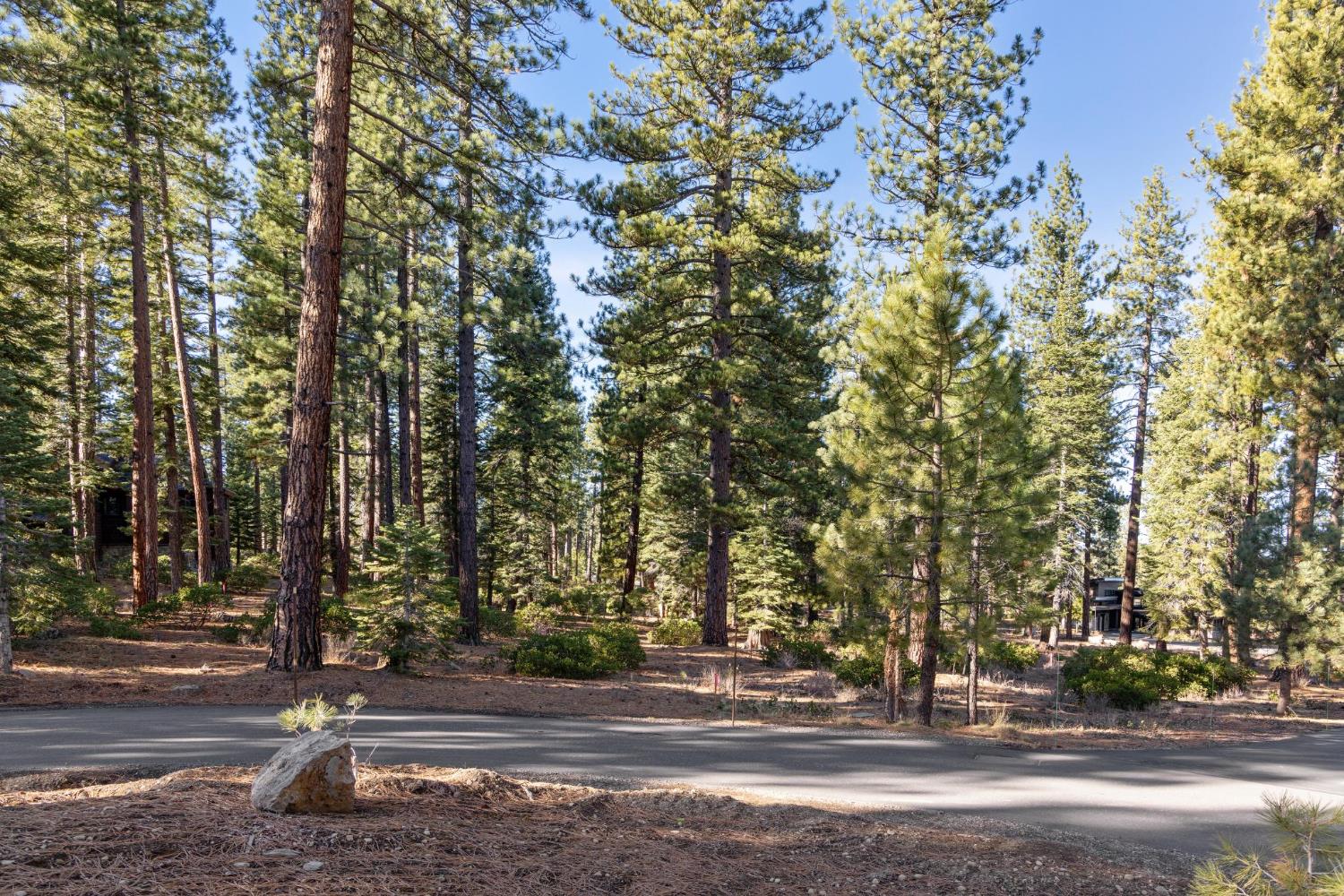 110 Bob Watson Truckee, CA 96161 - Photo 19 of 23