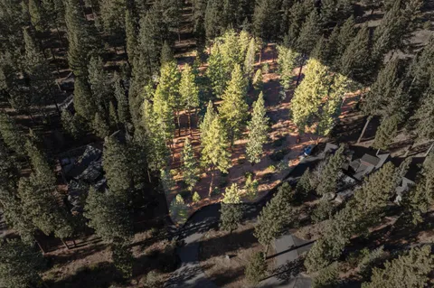 $650,000 | 110 Bob Watson, Truckee, CA 96161